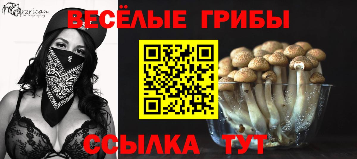 Кимовск  Псилоцибиновые грибы Psilocybe  Вход с VPN  Галлюциногенные грибы MAGIC MUSHROOMS 